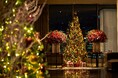 全国の三井ガーデンホテルズで特別なひとときを。高層階の絶景とともに愉しむクリスマス限定ディナー