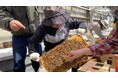 【都市型養蜂プロジェクト】「サッポロ・ミツバチ・プロジェクト」に参画し、自社施設の屋上空間を提供しました