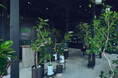 札幌市南区に、植物ケアを手がける植物専門店「PLANTHINK」2026年6月27日（土）オープン