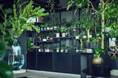 はじめての植物選びから、育てている植物の相談まで　植物ケアショップ「PLANTHINK」が丸井今井札幌本店に期間限定出店
