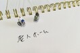11月11日「介護の日」に発表!!有老協主催「第23回東日本事例研究オンライン発表会」最優秀事例が決定