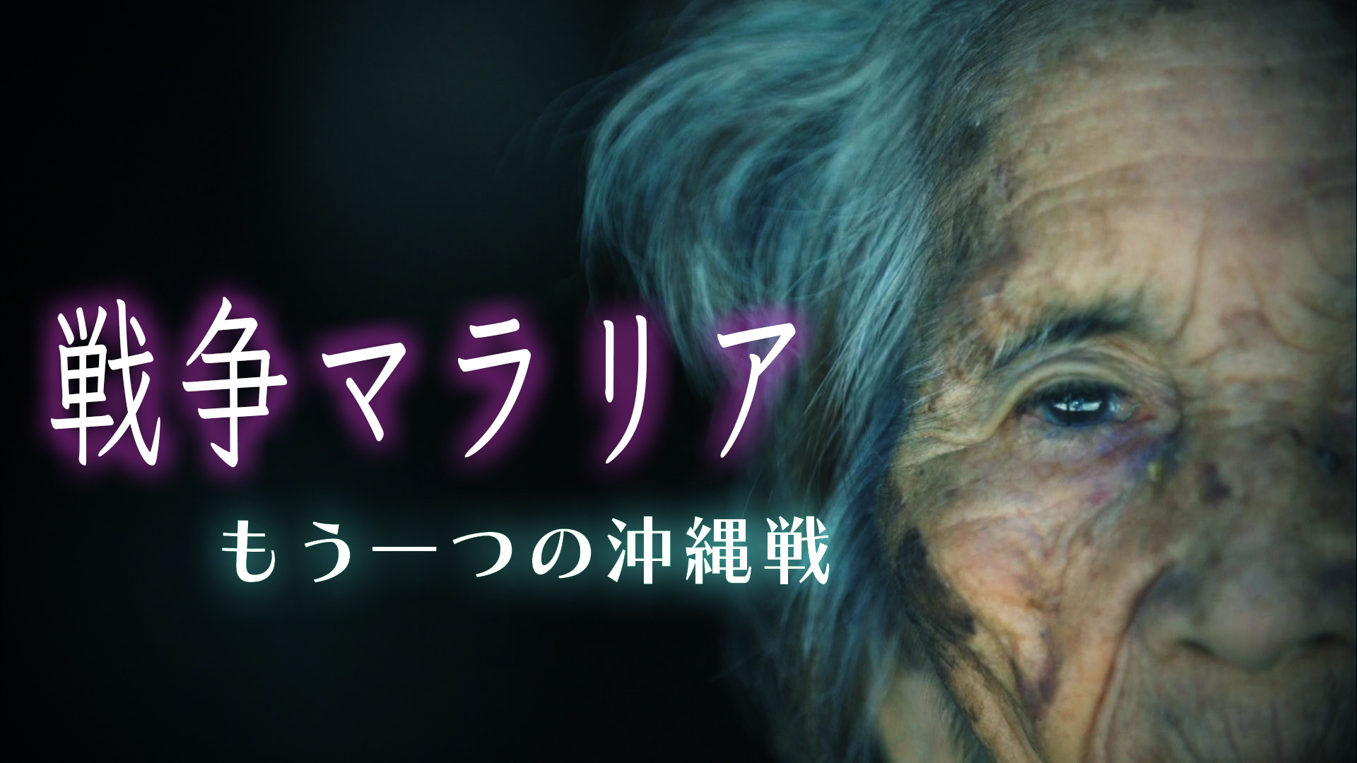 真珠湾 ゼロ戦 硫黄島 ドキュメンタリー７作品をyoutube配信 株式会社テレビ朝日のプレスリリース
