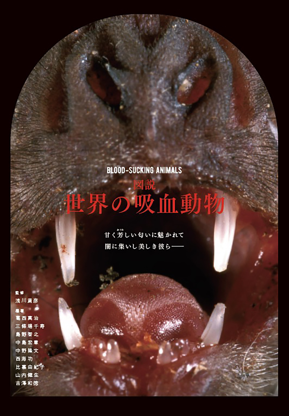 血を糧に生きる 様々な動物たちの生態に迫る図鑑 図説 世界の吸血動物 7月発売 株式会社グラフィック社のプレスリリース