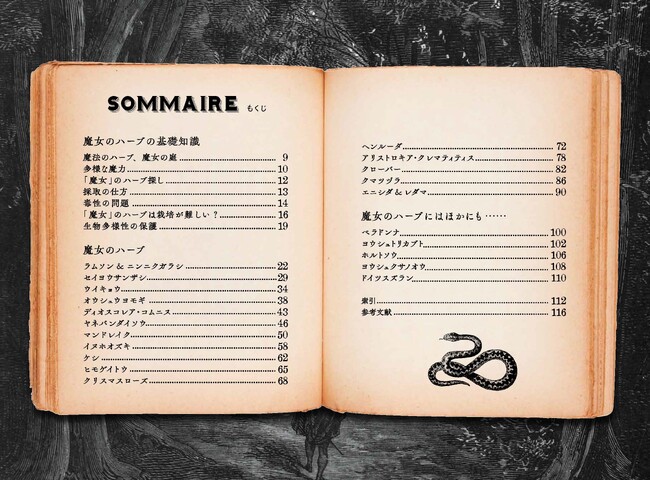 大好評「ひみつの本棚シリーズ」第5弾！ 妖しく人を魅了する