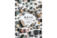 【Amazon“売れ筋ランキング(金属・鉱学)”1位獲得!!】美と科学の視点で贈る、あたらしい石の愛で方の本。『海辺の石』3月発売