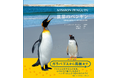 【世界中に生息する全種類を網羅!!】野生ペンギンを追い続けた究極の図鑑&写真集『世界のペンギン』6月発売