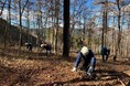 オリコ、書き損じはがきを活用した埼玉県の森林づくり活動を実施