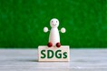 【FOEX】子どもたちの未来のために!『MOKU-NUNO(木布)』『SDGsに適う社会経済モデル』オンラインEXPO®「環境のミライEXPO」特別講演 11/17 開催のお知らせ