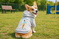 1点から作成可能！オリジナルプリント.jpに着脱しやすい犬用半袖パーカーが登場
