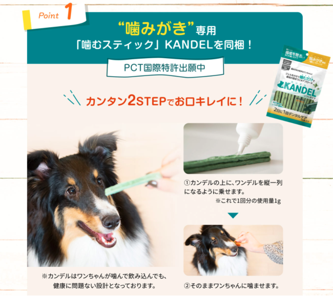 ドクターワンデル カンデル 犬用歯磨き www.krzysztofbialy.com