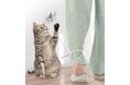 忙しい毎日でも猫との時間を楽しみたい。そんな想いから生まれた「ニャーオ」発売前モニターキャンペーンを実施