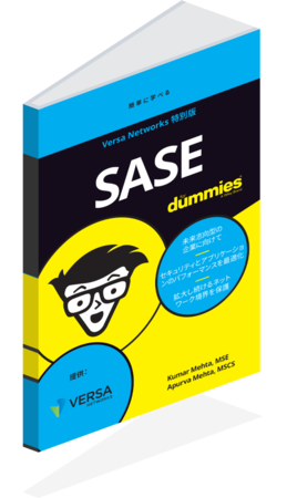 SASE For Dummies