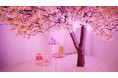 【開催レポート】Torriden（トリデン）のポップアップストア『Bloom Café by Torriden』、渋谷にて連日盛況のうちに閉幕