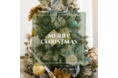 “V3ファンデーション”で話題のCHARIS＆Co.　12月17日(金) インスタLIVEにてクリスマスイベント　好評の“プレゼント企画”　目玉は クリスマスオリジナルギフト！