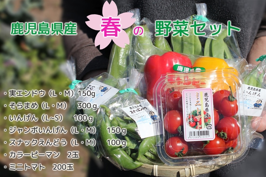 春が盛りだくさん 産地直送通販サイト ｊａタウン で鹿児島県産 春の野菜セット を販売開始 Ja全農の産直通販jaタウンのプレスリリース