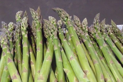 春の有機栽培グリーンアスパラガス