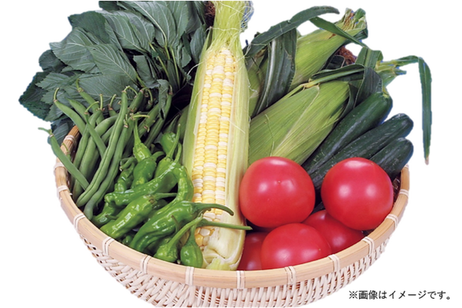 季節の野菜詰め合せ