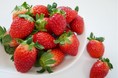 甘さと酸味のバランスが絶妙で、濃厚でジューシーな味わい！茨城県産いちご「いばらキッス」が産地直送通販サイト「ＪＡタウン」で販売開始！