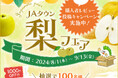 あなたの食べたい梨が見つかる！産地直送通販サイト「ＪＡタウン」で『梨フェア』がスタート～ご購入後のレビュー投稿でクーポン券が当たるキャンペーンも実施～