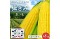 青森県産のとうもろこし「嶽きみ」が「ＪＡタウン」のショップ「ＪＡ全農あおもり」で販売開始！～プチプチ食感とジューシーな味わい～