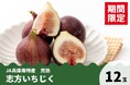 【数量限定】完熟！色つや良し！香り良し！糖度が高くて甘―い！「志方いちじく」生産者のこだわりが詰まったＪＡ兵庫南特産「志方いちじく」がＪＡタウン「あつめて、兵庫。」に新登場！