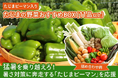 ～猛暑を乗り越えろ！暑さ対策に奔走する「たじまピーマン」を食べて応援～