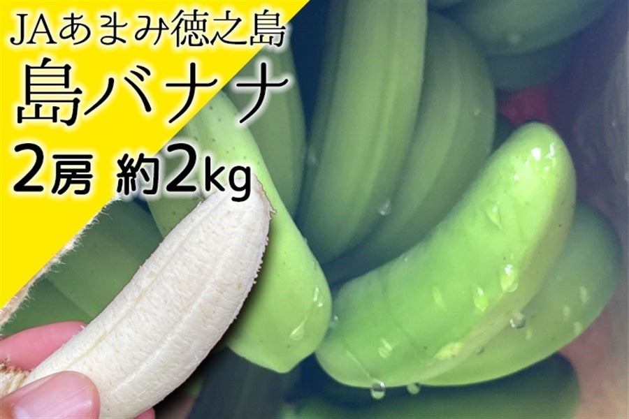 度食べるとやみつきになる？！鹿児島県産の「島バナナ」が産地直送通販サイト「ＪＡタウン」で販売開始！｜JA全農の産直通販JAタウンのプレスリリース
