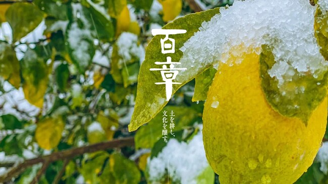 京都府宮津市人口10名の村