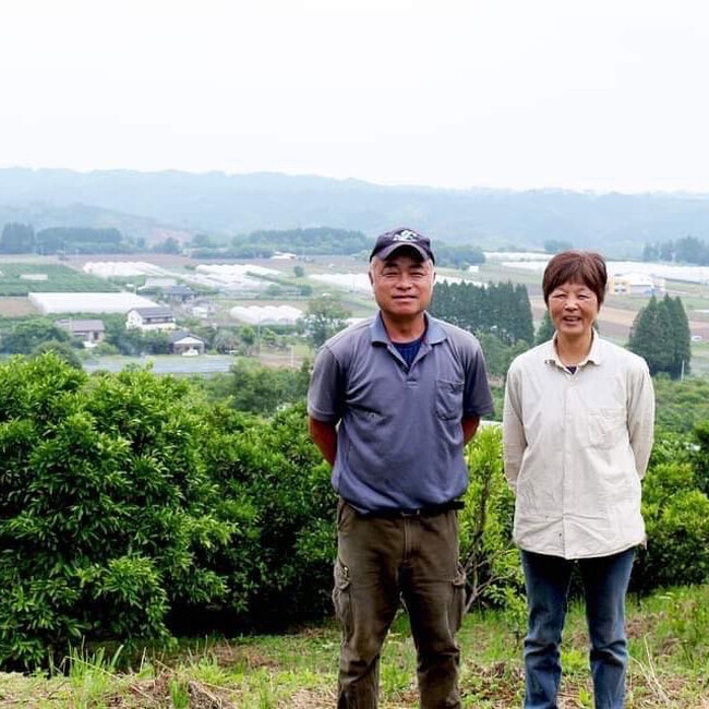 宮崎県綾町野元さんご夫妻 宮崎県綾町野元さんご夫妻