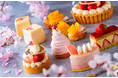 桜の香りと柑橘の爽やかな味わいの春限定ケーキ&パンを販売する「桜香るスプリングフェア」開催!大粒のいちごと桜を使用したタルトや白餡を使用したモンブランなど全6種類