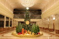 京王プラザホテルに灯る“赤とゴールドの森”－ 高さ約5mのツリーと英国リースが彩る、心ほどける聖夜 －