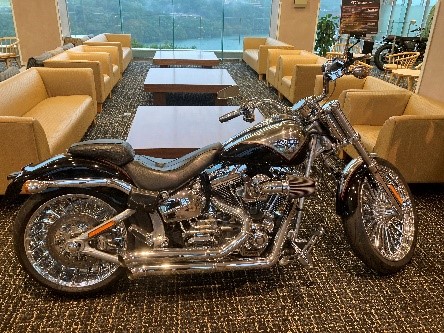 HalleyDavidsonCVO Breakout FXSBSE