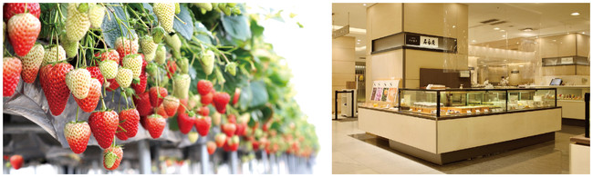 左：紅ほっぺ　右：今年9月 伊勢丹新宿店出店の様子