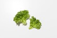 植物工場生産農家のデリファームが11月より高機能野菜の新種栽培を開始