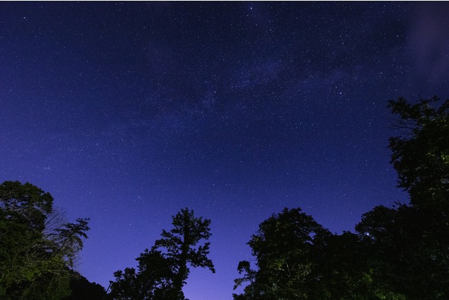 夜には満天の星が広がる 夜には満天の星が広がる