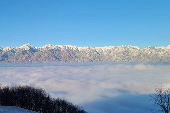 長峰山からは運が良ければ雲海の上に聳える北アルプスが望める