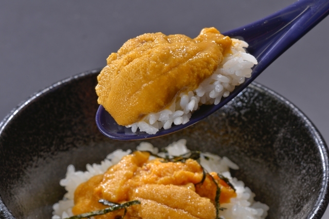 お好みで獲れたての新鮮な生ウニ丼も楽しめます