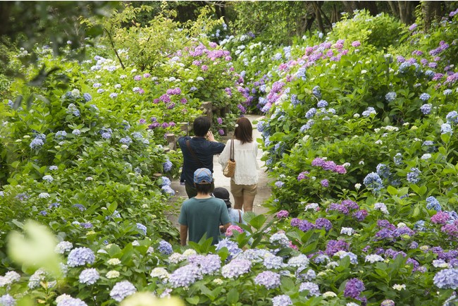 下田公園