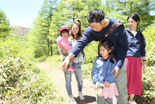 湯の丸高原の自然を楽しみながら案内します