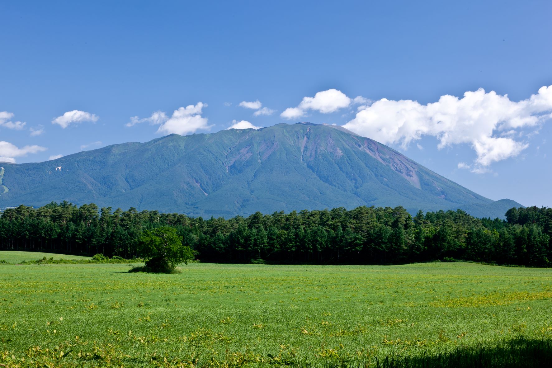 夏山シーズン突入 岩手山の山開きは７月１日 金 網張温泉展望リフト は７月２日 土 にオープンします 自然にときめくリゾート 休暇村のプレスリリース