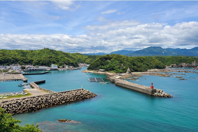 和歌山県南東の熊野灘シーカヤックで海ほたるに会いに行こう 休暇村南紀勝浦ナイトカヤック付きプラン販売中