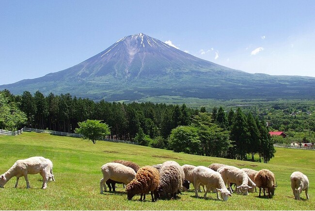秋を楽しむイベントが盛りだくさん「まかいの牧場」