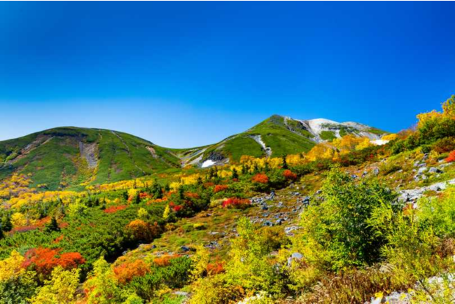 紅葉の見ごろを迎えた乗鞍岳