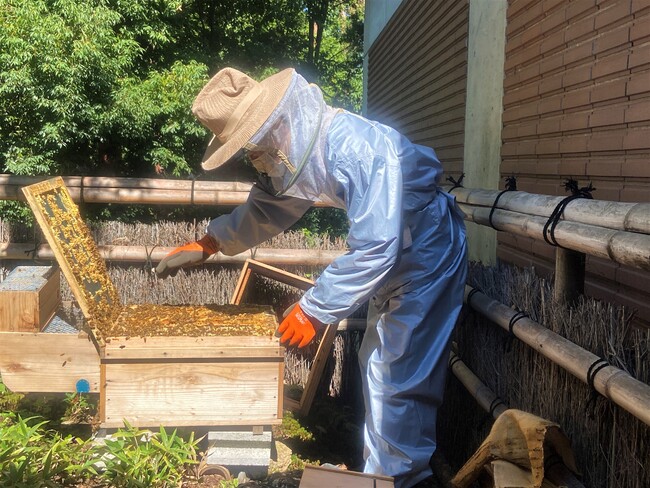 地元養蜂家「はぴ農園」さんにもご協力いただいています