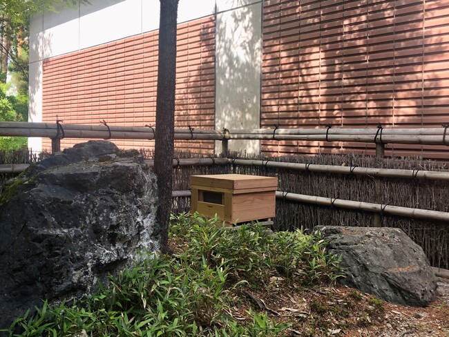 ホテル敷地内に設置された巣箱