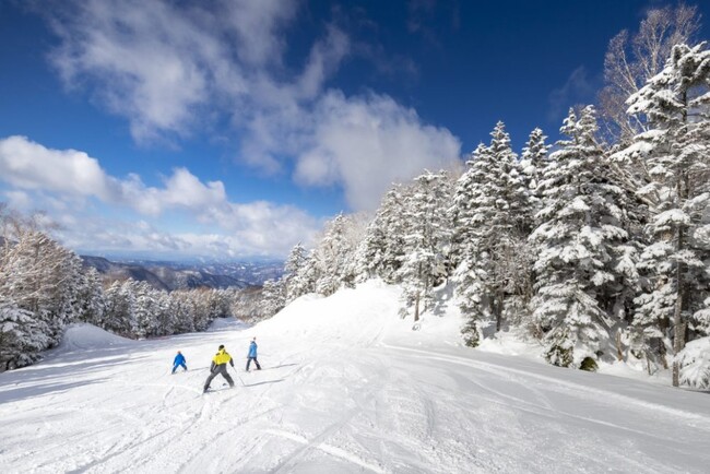 丸沼高原スキー場のさらさらパウダースノーを満喫 丸沼高原スキー場のさらさらパウダースノーを満喫