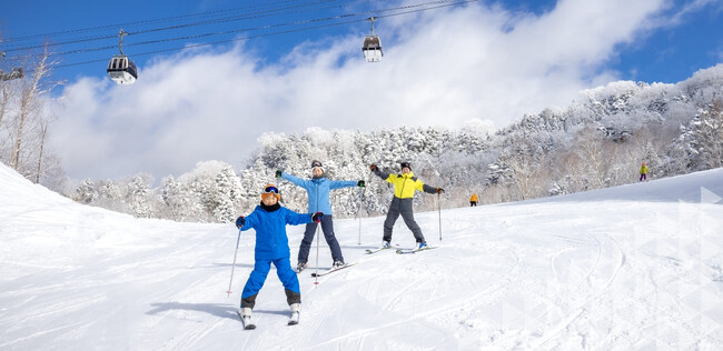 ファミリーでも楽しめます ファミリーでも楽しめます