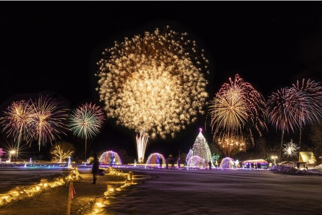 お正月を祝う花火も打ち上げられます お正月を祝う花火も打ち上げられます