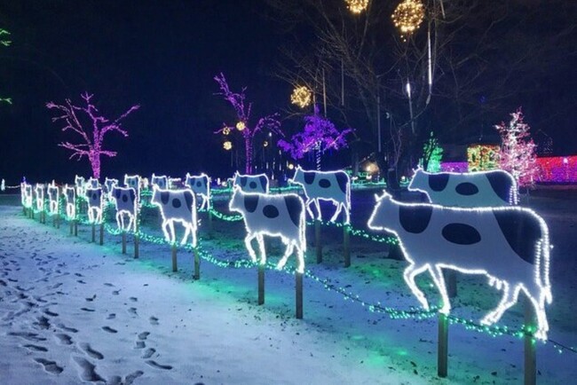 農場の動物をモチーフにしたイルミ 農場の動物をモチーフにしたイルミ