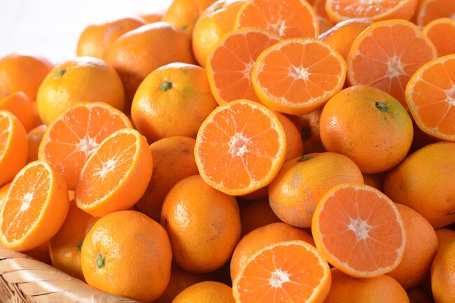 愛ある愛媛の柑橘 愛ある愛媛の柑橘